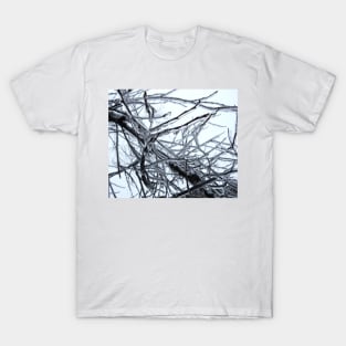 Frozen Branches - Freezing Rain in the Spring T-Shirt